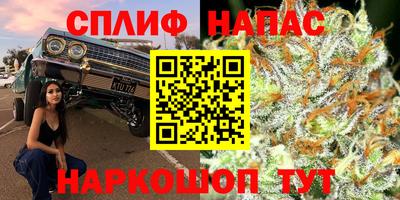 дживик Кунгур