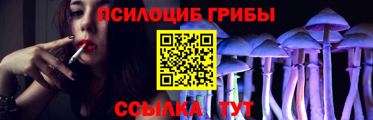 Видное  Псилоцибиновые грибы Psilocybine cubensis  Вход с VPN 